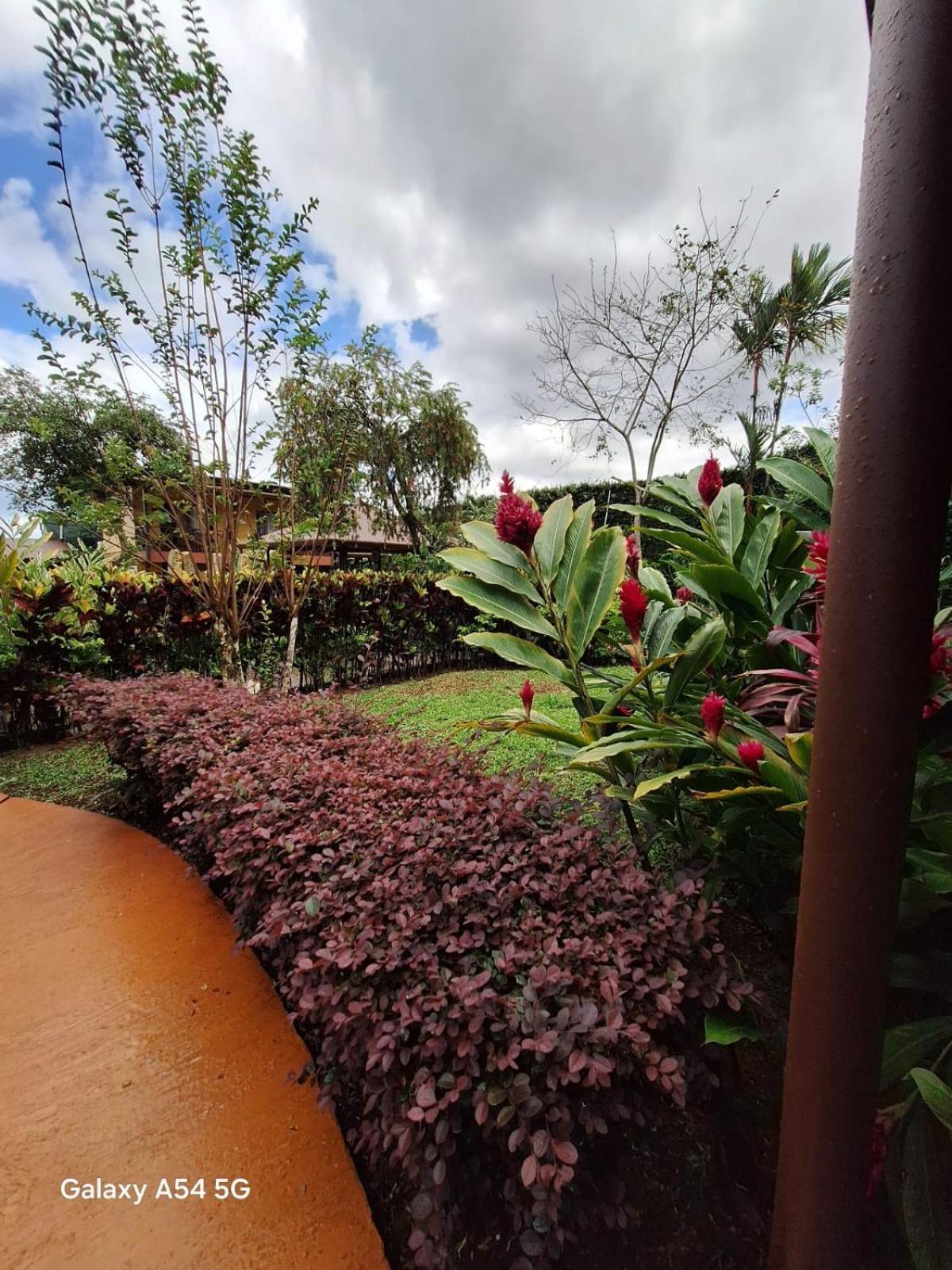 La Fortuna Iris Arenal Hotel المظهر الخارجي الصورة